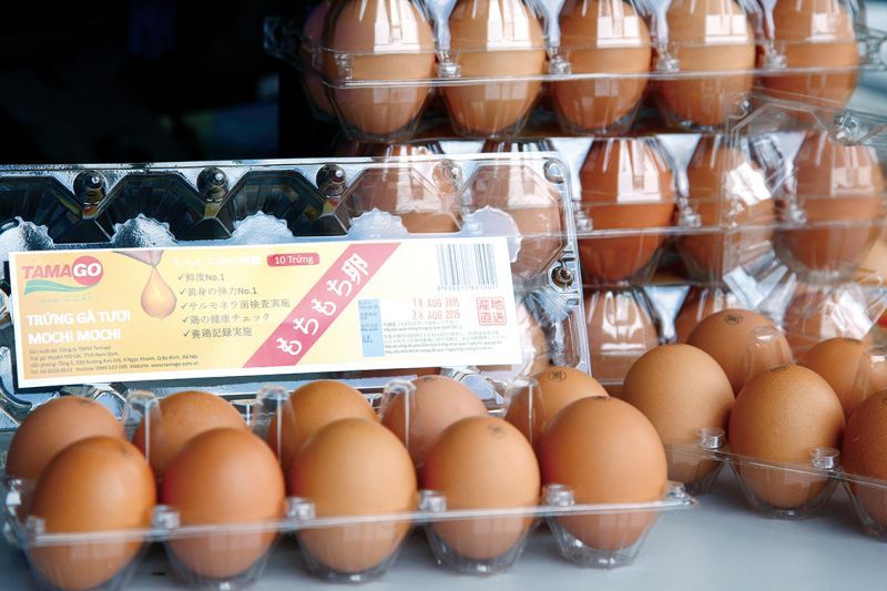 trứng nhật bản